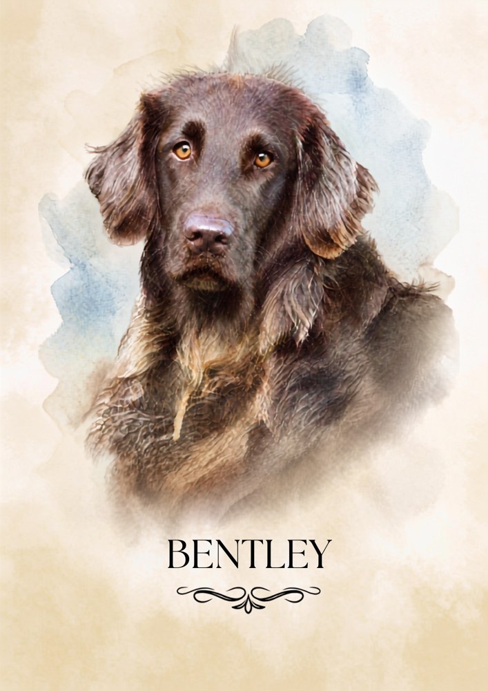 Watercolour style portrait of Bentley