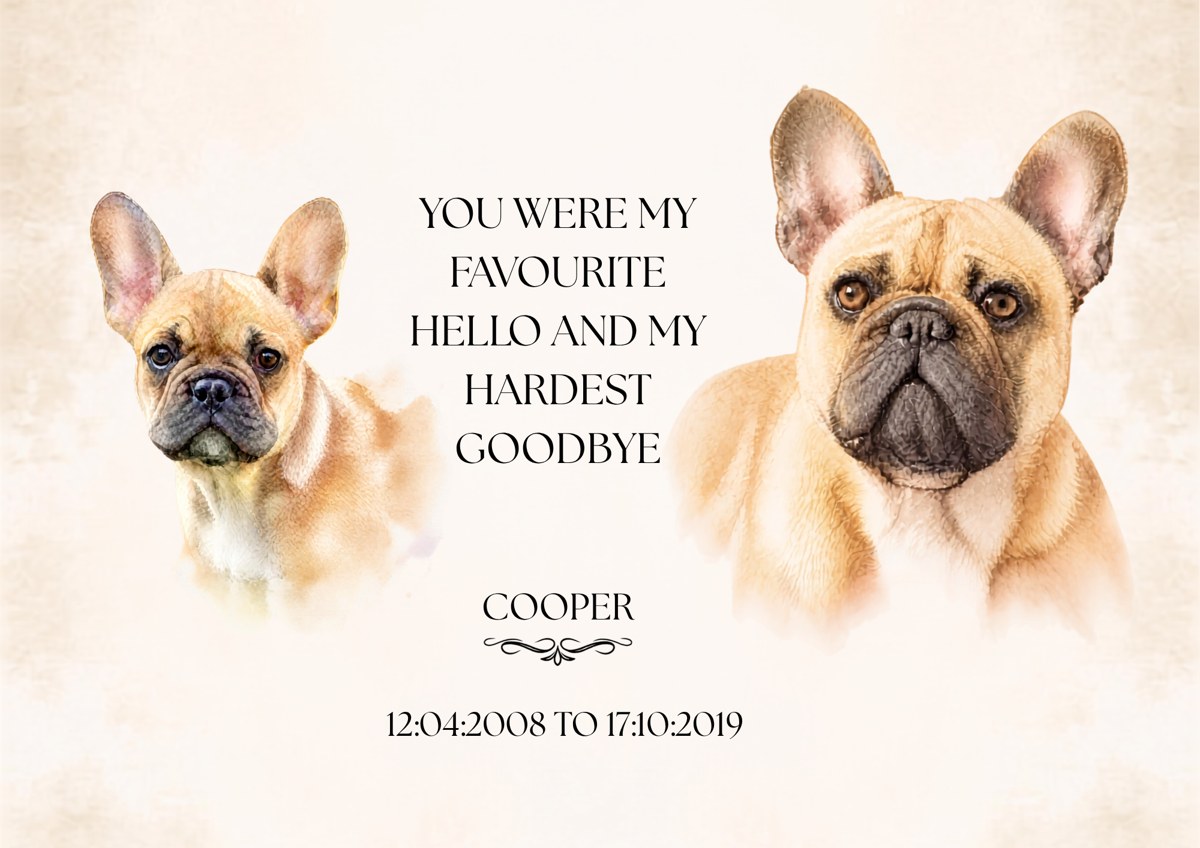Two-image memorial print of Cooper as a puppy and as an adult, with a quote and dates