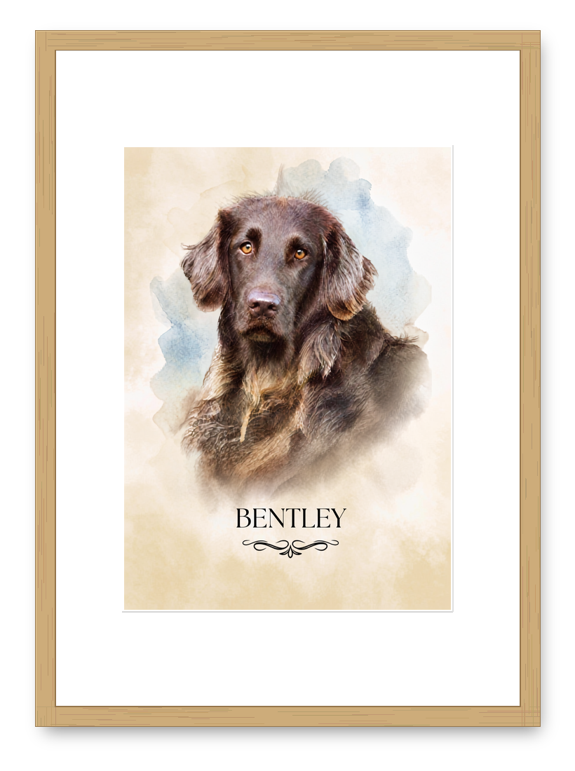 Watercolour style portrait of Bentley in an oak frame
