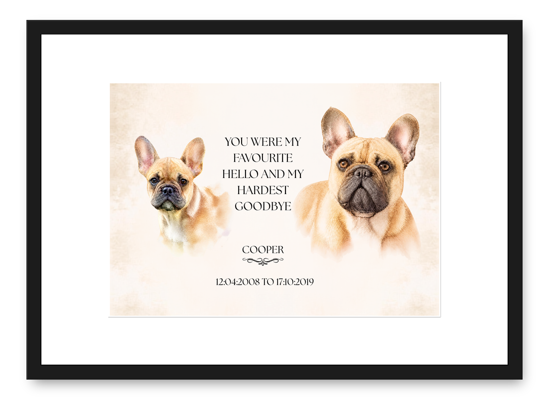 Two-image memorial of Cooper as a puppy and as an adult with a quote and dates, in a black frame