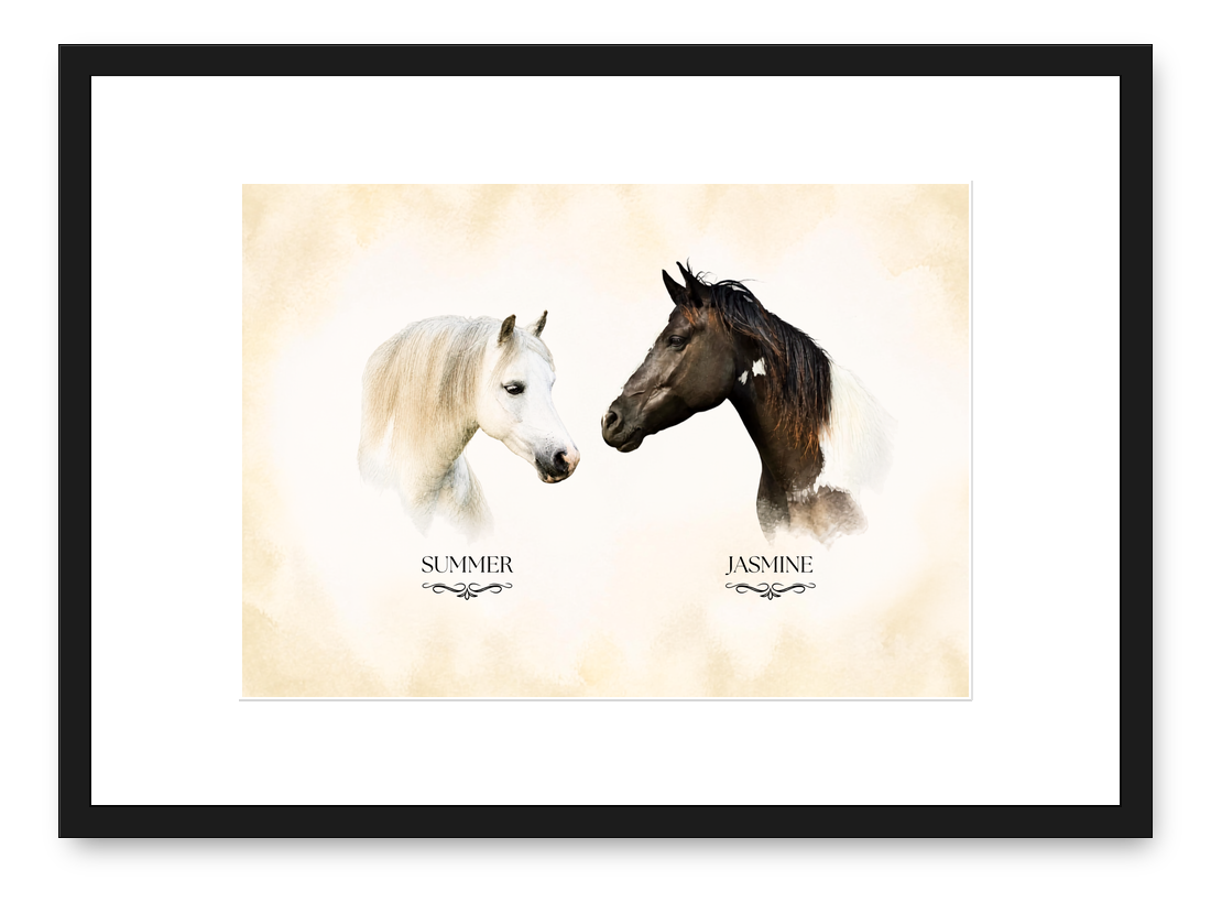 Portrait of two horses, Summer and Jasmine, in a black frame