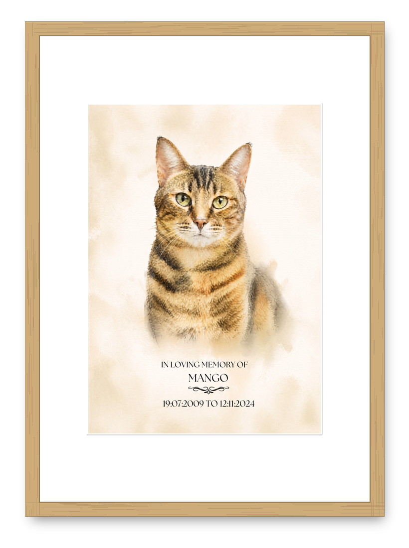 Portrait of Mango the cat in an oak frame