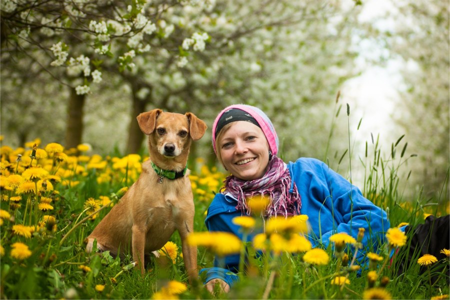 Photo of a woman and her dog in a field of dandelions